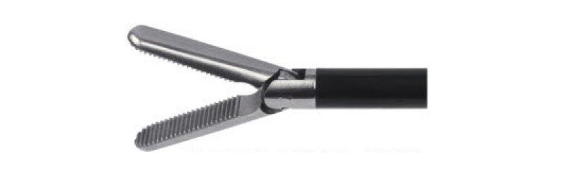 HF2005.7 Grasping,plate-shaped wavy teeth