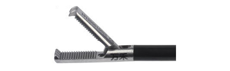 HF2007.6 Grasping,distal 2+3 claws with wavy teeth