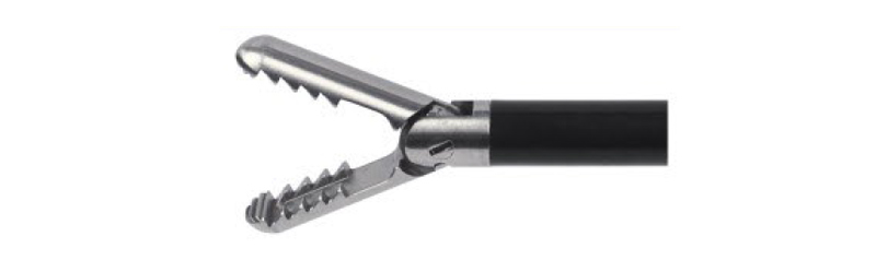 HF2007.19 Grasping," Pike mouth " with spoon, distal grid flat teeth