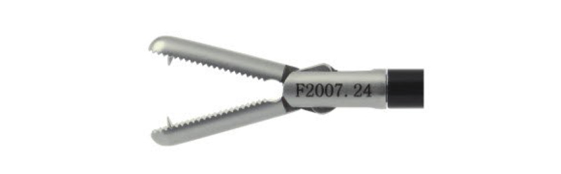 HF2007.24 Grasping,spiked