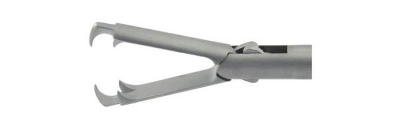 Grasping,Distal 2+3 claws,single claw tip