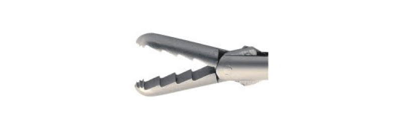 HA2152 "pike mouth"  forceps